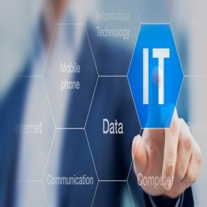 IT Consultant